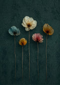 Just Flowers