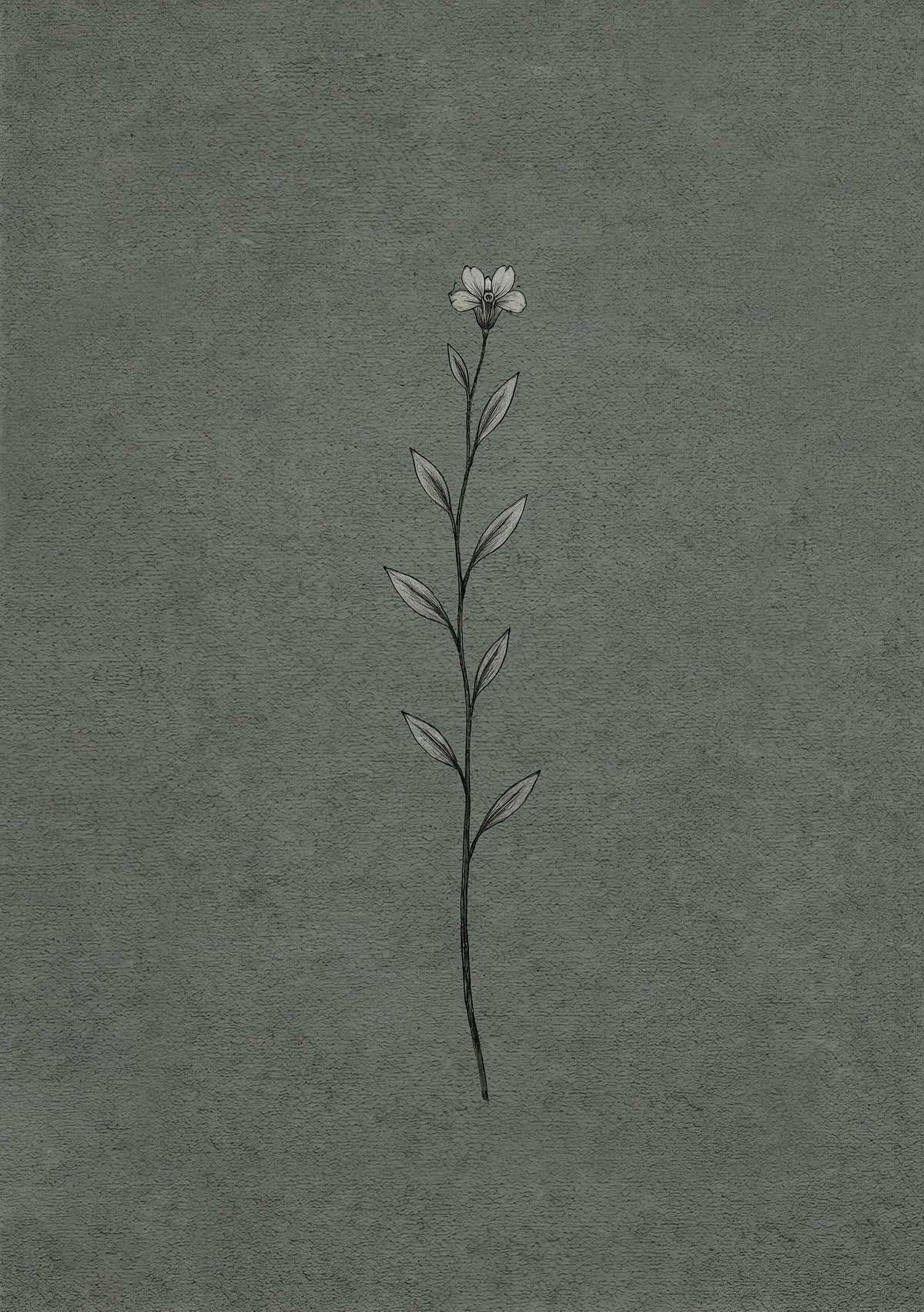 Single Stem Botanic
