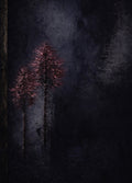 Midnight Resonance